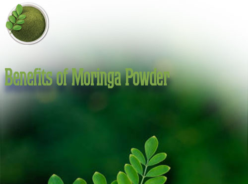 benefits of moringa powder