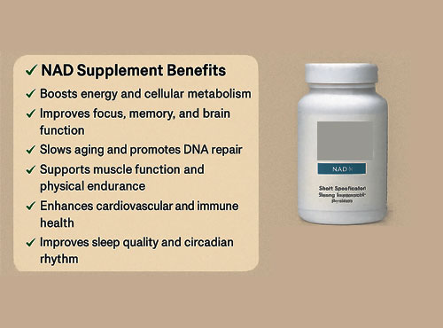 best NAD supplement
